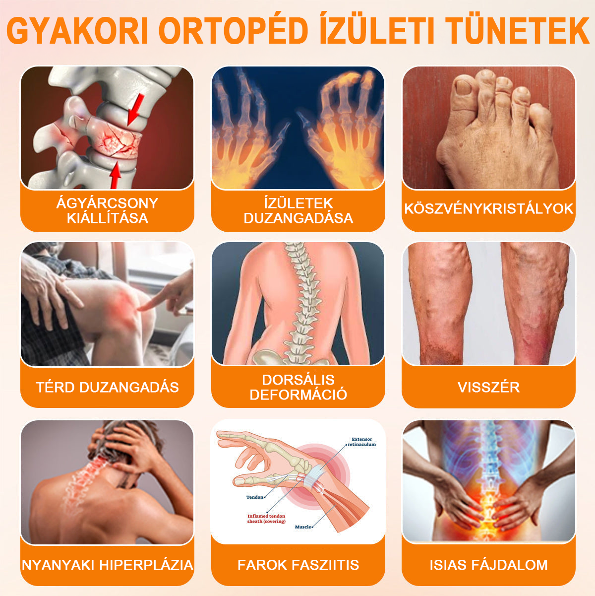 Pureluxo® Botulinum Toxin és Méhméreg Fájdalomcsillapító Csontgyógyító Krém🐝🌿 (Kifejezetten időseknek & ortopéd szakorvosok ajánlásával)🔥🔥🔥🔥🔥